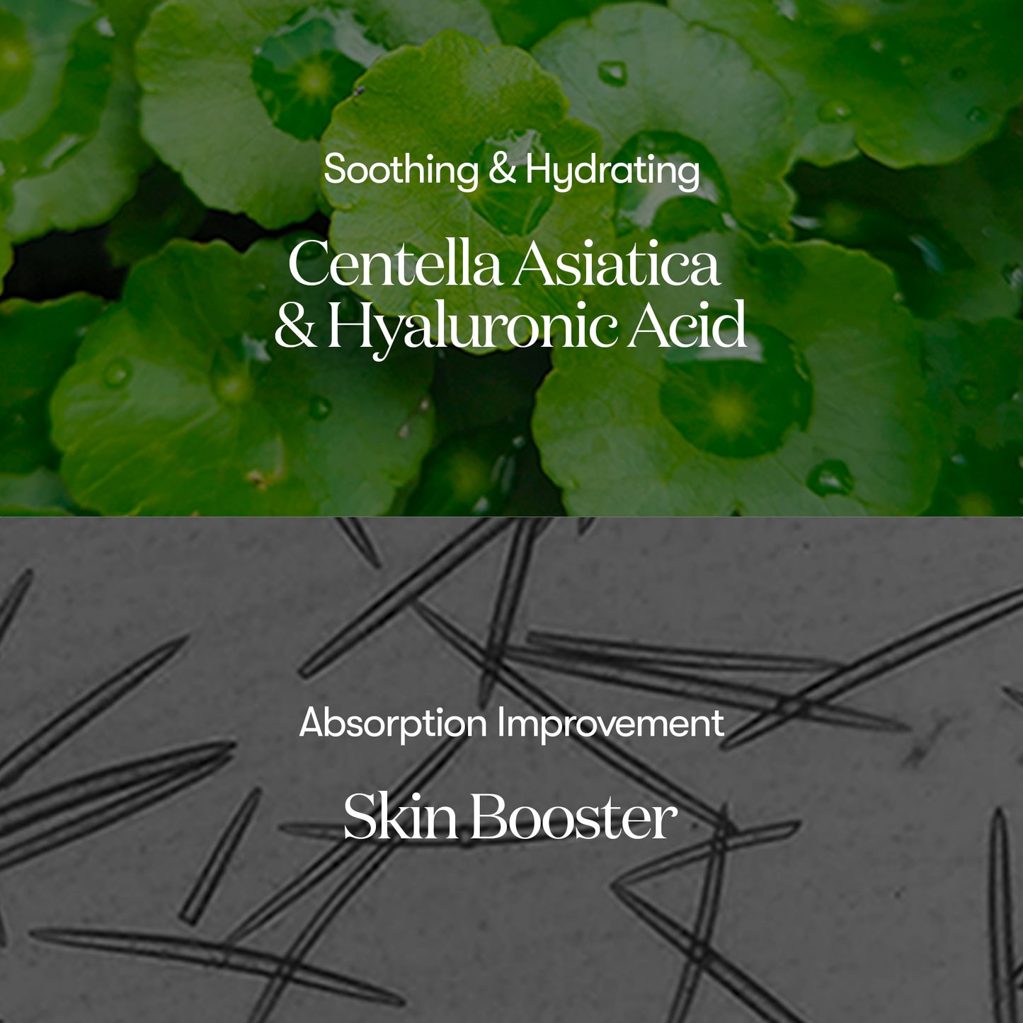 Reedle shot 100 Stick pouch