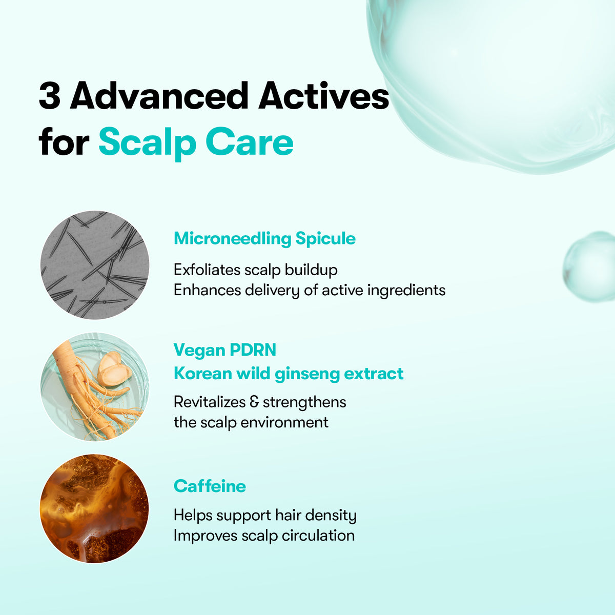 Caffeine, botanical and spicule scalp care ingredients