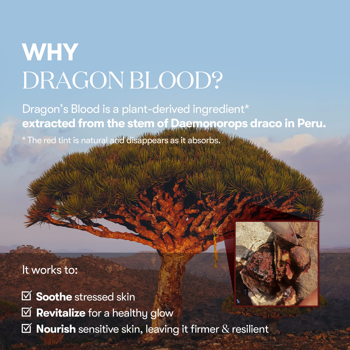 Red Booster Reedle Shot 100