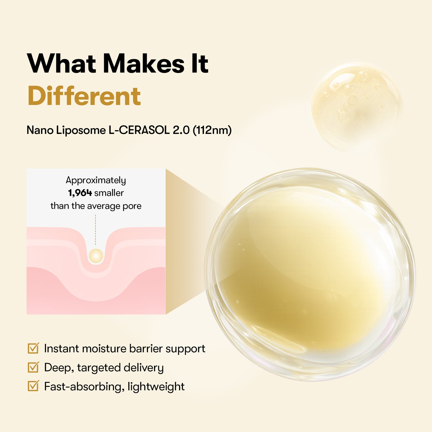 Rice Ceramide Serum
