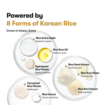 Rice Ceramide Serum